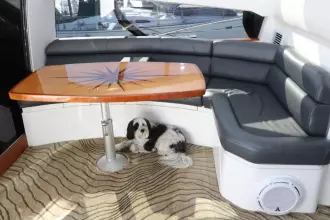 Thumbnail von Sunseeker Predator 74 Second Thoughts