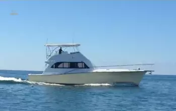 Egg Harbor 54 Convertible