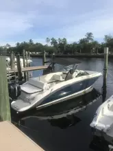 Thumbnail von Sea Ray SDX 270 Outboard Make It A Habit