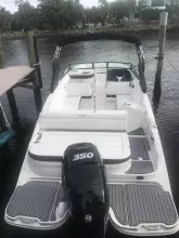 Thumbnail von Sea Ray SDX 270 Outboard Make It A Habit