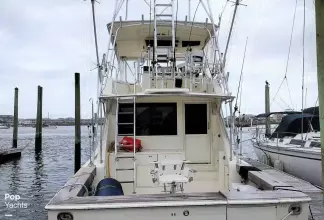 Thumbnail von Viking 53 Convertible