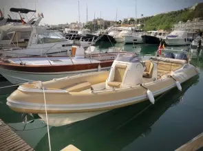 Cobra Nautique 9.7
