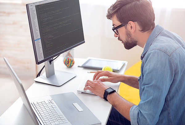 Software Developer